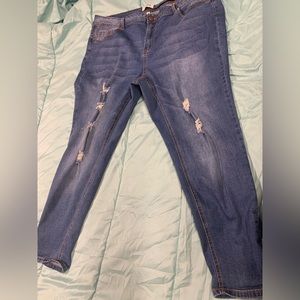 Plus Size 24 Deja Bleu Jeans